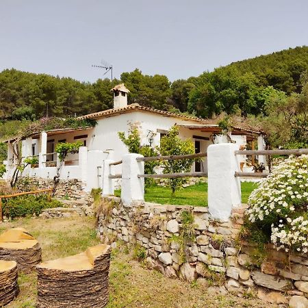 Villa Huerta Nacimiento Montecorto Exteriör bild