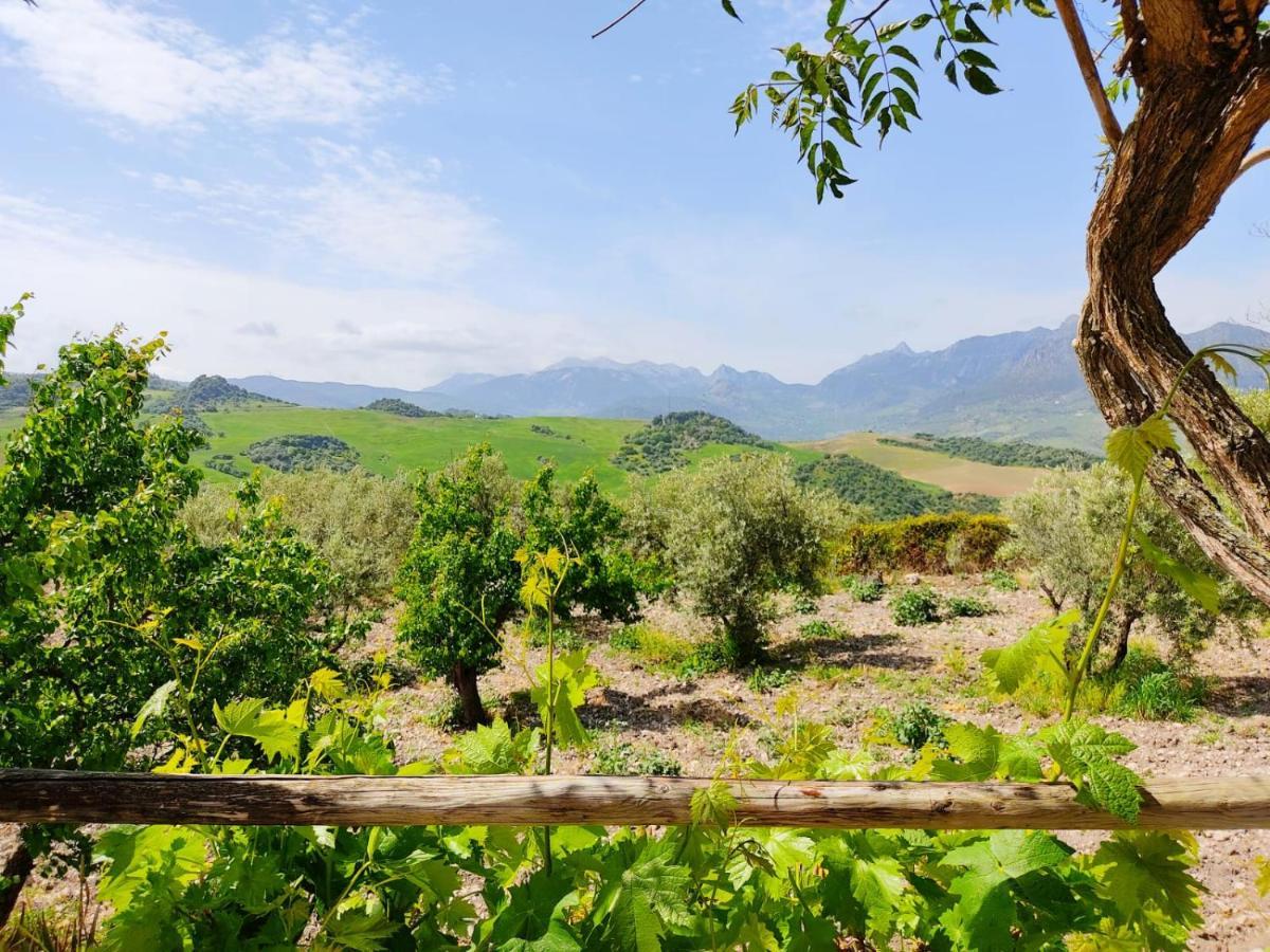 Villa Huerta Nacimiento Montecorto Exteriör bild